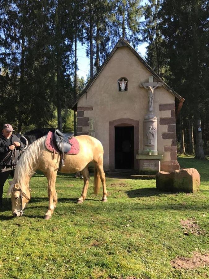 Villa Maria Petit-Réderching Екстериор снимка